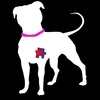 DreamABull Dog Rescue, Corp
